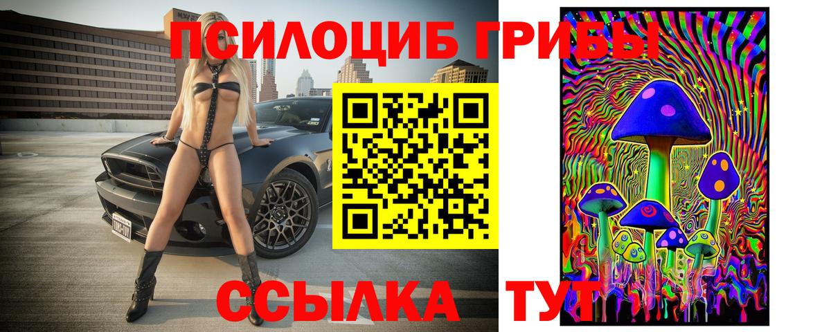 Галлюциногенные грибы Psilocybine cubensis  Вход с VPN  Азнакаево  Галлюциногенные грибы MAGIC MUSHROOMS 